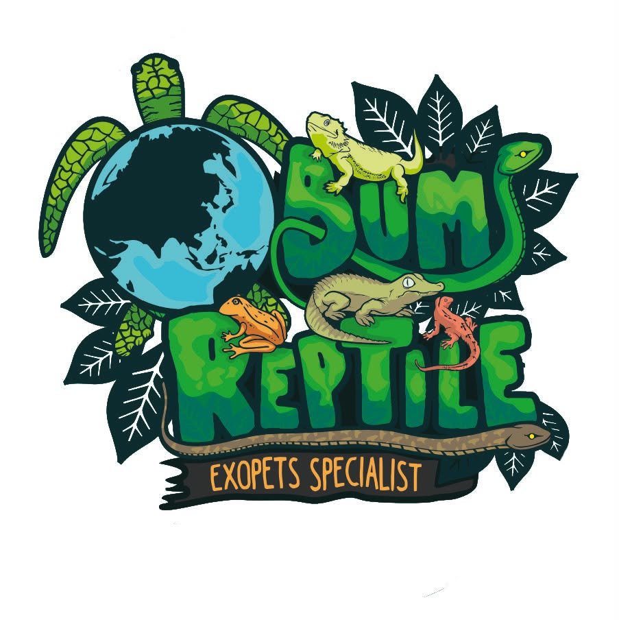 Bumi Reptile