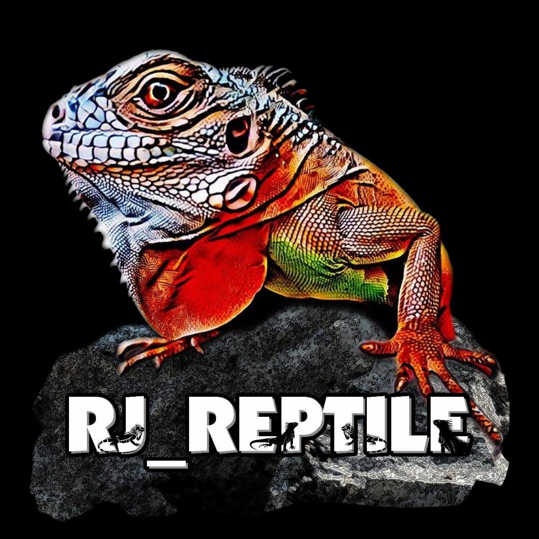 RJ Reptile