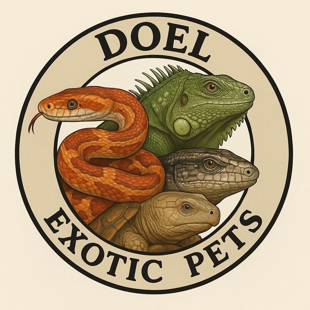 Doel Exotic Pets