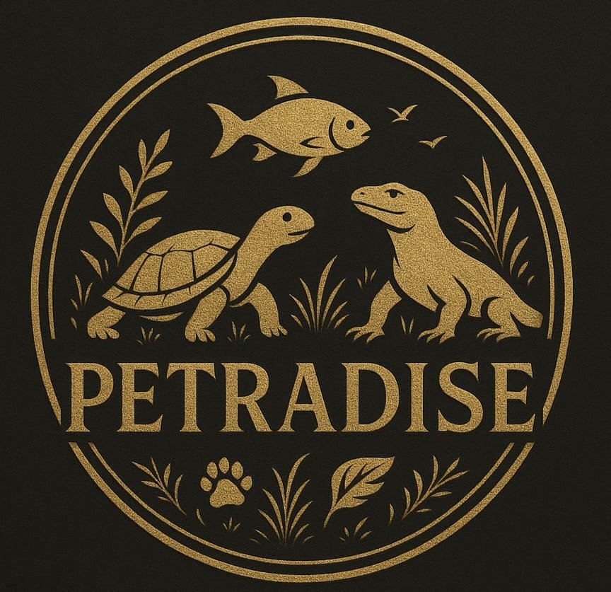 Petradise