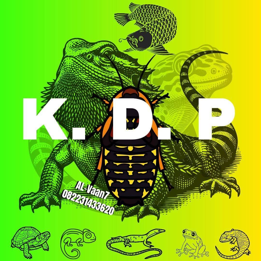 kecoadubiakotapadang