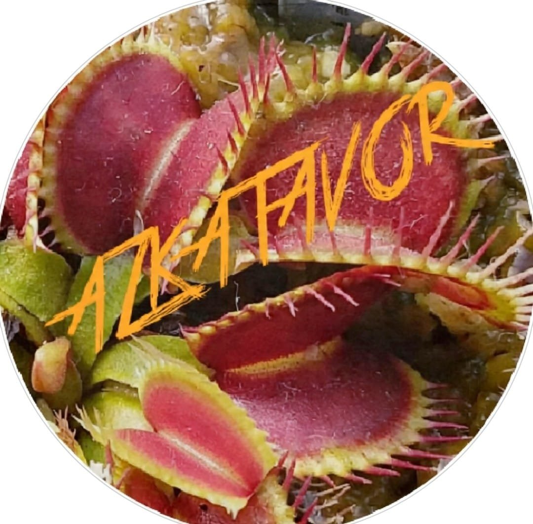 Azkatavor