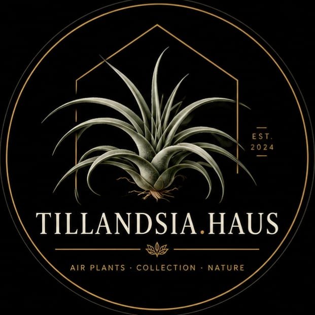 Tillandsia Haus